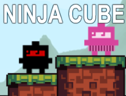 Jeu Cube ninja
