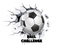 Jeu Ball Challenge