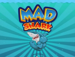 Jeu Requin fou