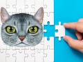 Game Abyssinian Puzzle Challenge