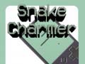 Game Snake Charmer