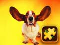Game Funny Dogs Puzzle
