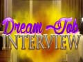 Jeu Dream Job Interview