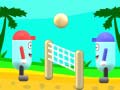 Game Beach Volleyball