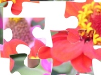 Jeu Flowers 2
