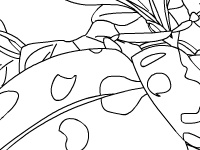 Jeu Garden beetle