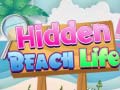 Game Hidden Beach Life