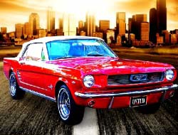 Jeu Mustang quotidien .