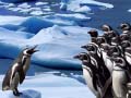 Game Penguins Slide