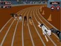 Game Crazyl Dog Racing Fever