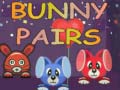 Game Bunny Pairs