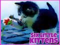 Jeu Six Little Kittens