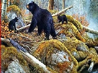 Jeu Bears near the lake
