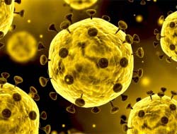 Jeu Diapositive de coronavirus 
