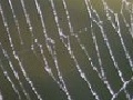 Jeu Spider 3