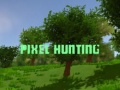 Jeu Pixel Hunting