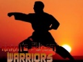 Jeu Karate Sunset Warriors