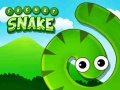 Game Frenzy Snake