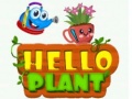 Game Hello Plant 
