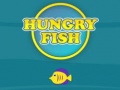 Jeu Hungry Fish