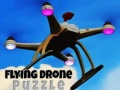 Game Flying Drone Puzzle