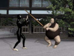Jeu Buyoda Sensei