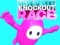 Jeu Ultimate Knockout Race