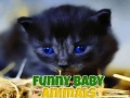 Game Funny Baby Animals