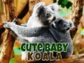 Game Cute Baby Koala Bear