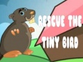 Jeu Rescue The Tiny Bird