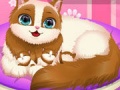 Game Cute Kitty Pregnant