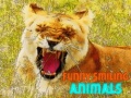 Game Funny Smiling Animals