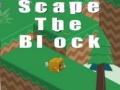 Game Scape The Block
