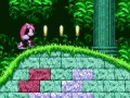 Game Mighty & Ray In Sonic 2