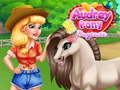 Game Audrey Pony Daycare