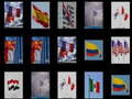 Game Memorize the flags