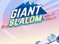 Jeu Giant Slalom