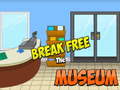 Jeu Break Free The Museum