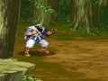 Jeu Three Kingdom - Five Tiger Generals