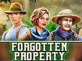Game Forgotten Property