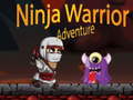 Jeu Ninja Warrior Adventure