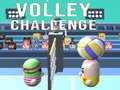 Game Volley Challenge