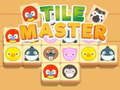 Game Tile Master Match