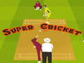 Game Super Cricket 