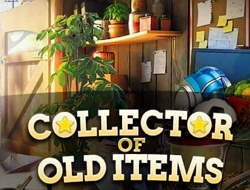 Jeu Collectionneur d'objets anciens 