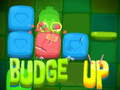 Game Budge Up