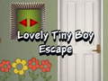 Jeu Lovely Tiny Boy Escape