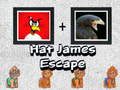 Game Hat James Escape