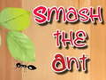 Game Smash the Ant