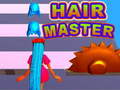 Jeu Hair Master